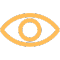 Vision Icon